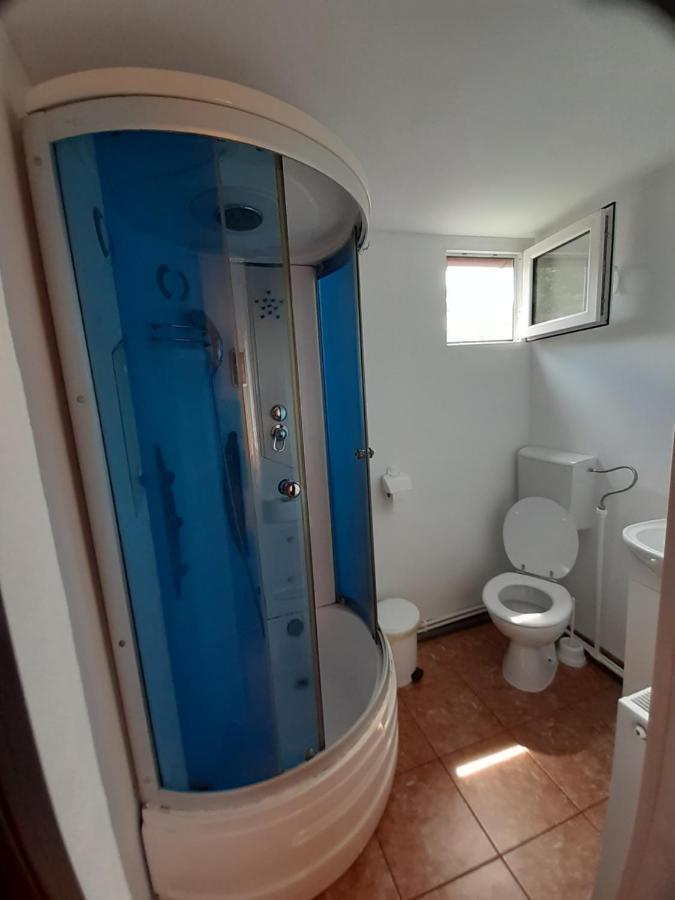 Băile HerculaneCasa Izaアパートメント エクステリア 写真