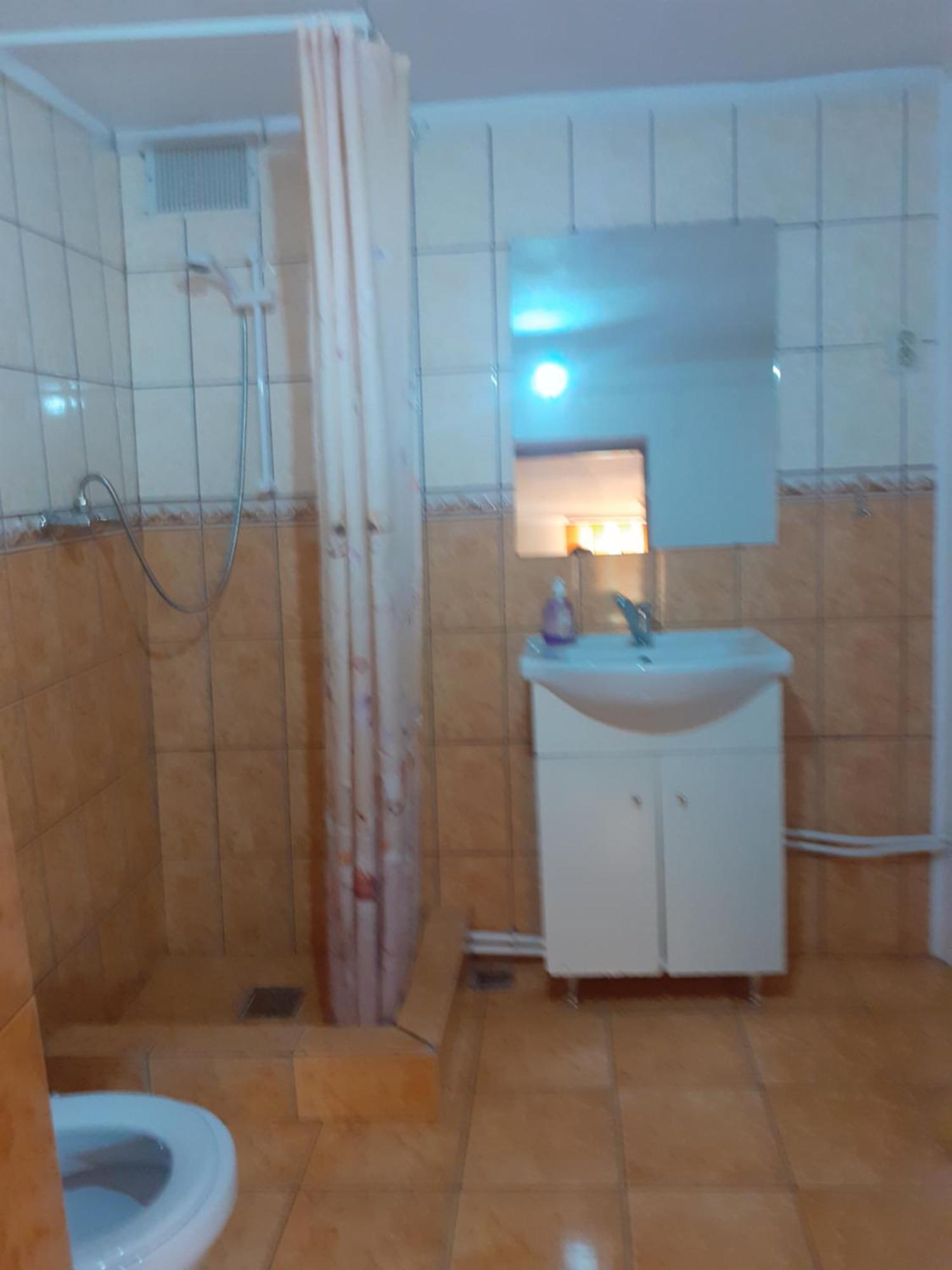 Băile HerculaneCasa Izaアパートメント エクステリア 写真