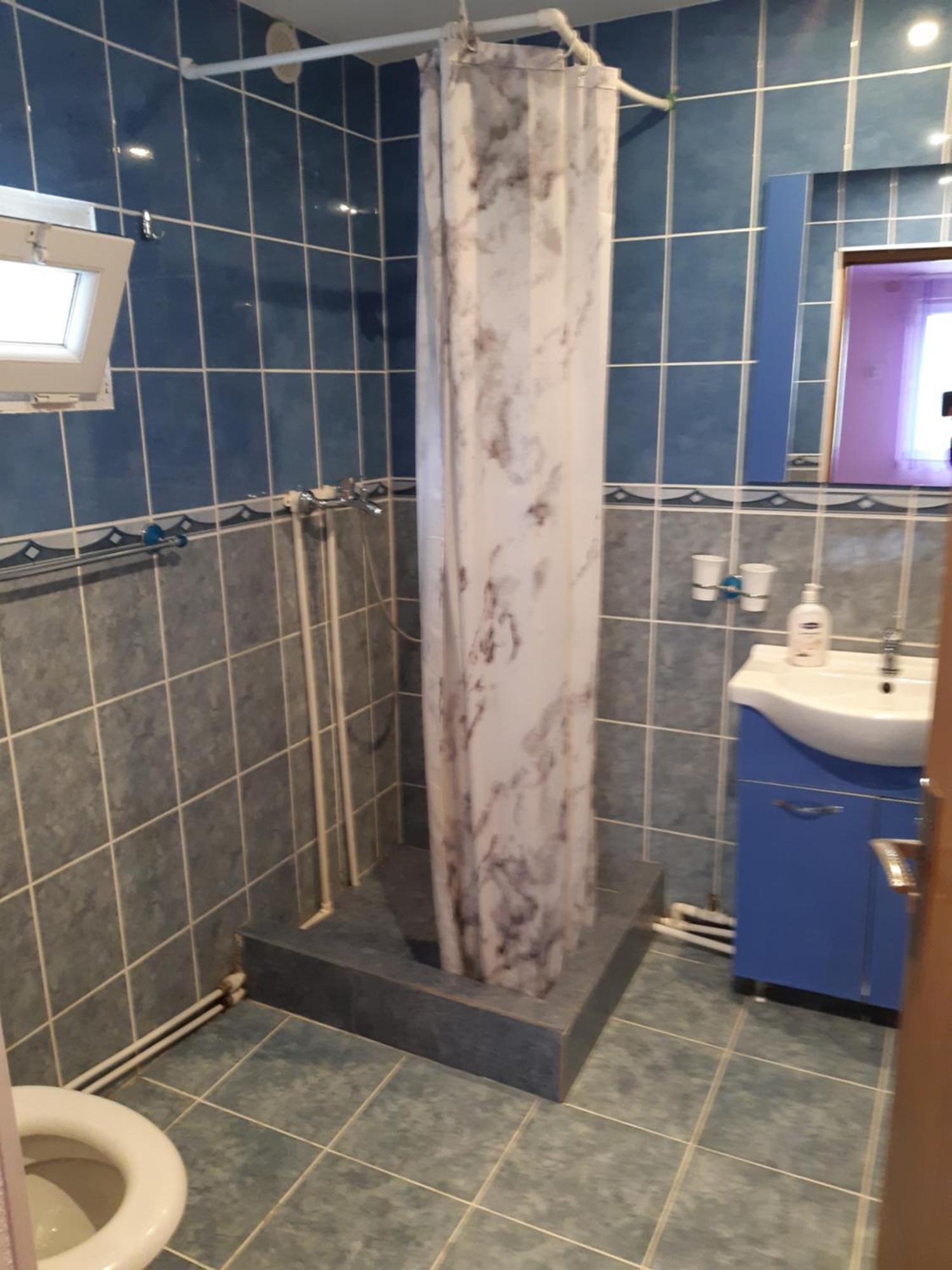 Băile HerculaneCasa Izaアパートメント エクステリア 写真